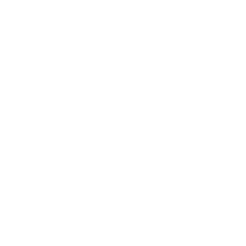 E-Gitarre 
